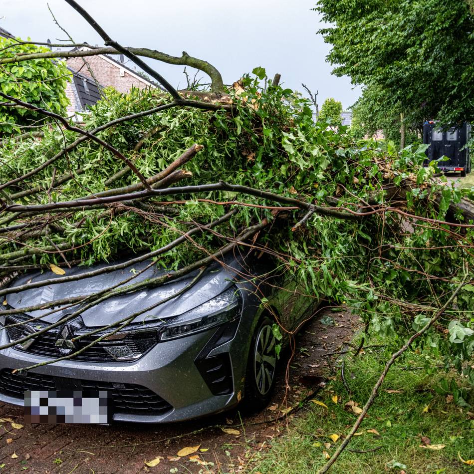 Unwetter-Einsätze für Feuerwehr Sonsbeck: Baum stürzt auf Auto – Stromleitung reißt ab