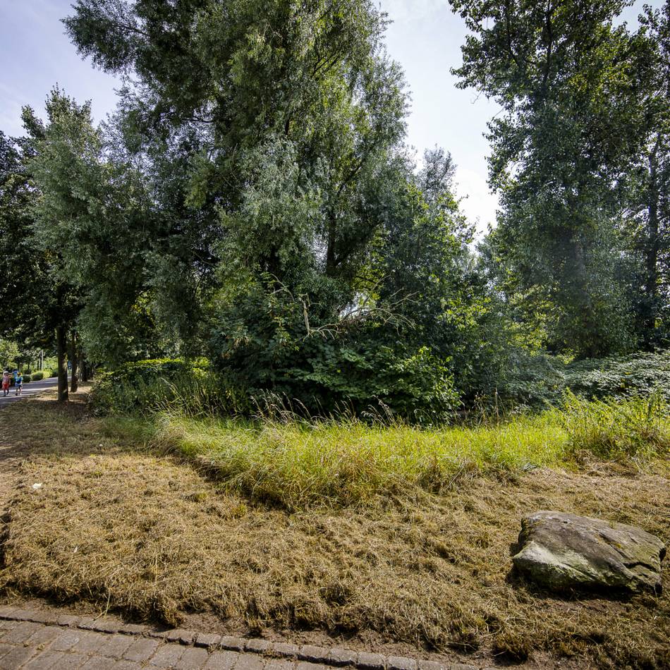 Mehr günstiger Wohnraum in Meerbusch: Politik nimmt nächste Hürde zur Gründung der Genossenschaft