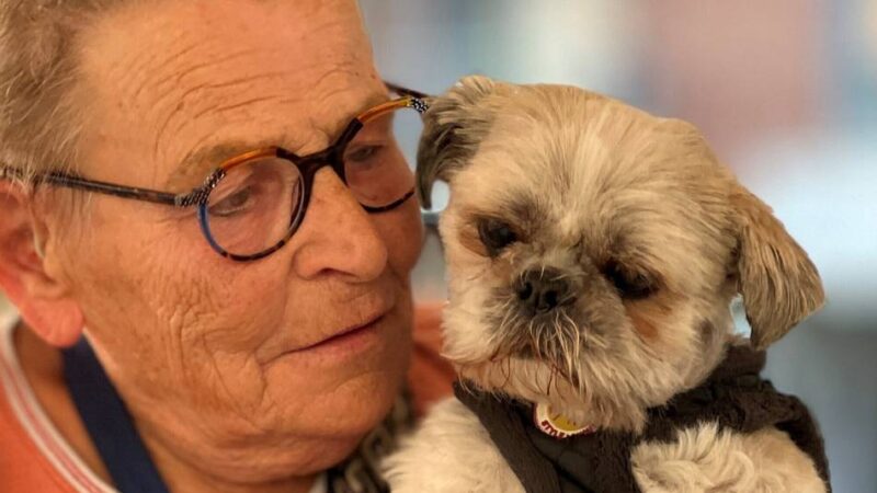 Tierliebe in Lobberich: Wie der blinde „Nacho“ sein Leben meistert