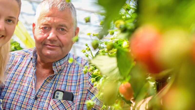 Generationenwechsel auf dem Spargelhof: Der Vater macht den Anbau, die Tochter schmeißt den Hofladen