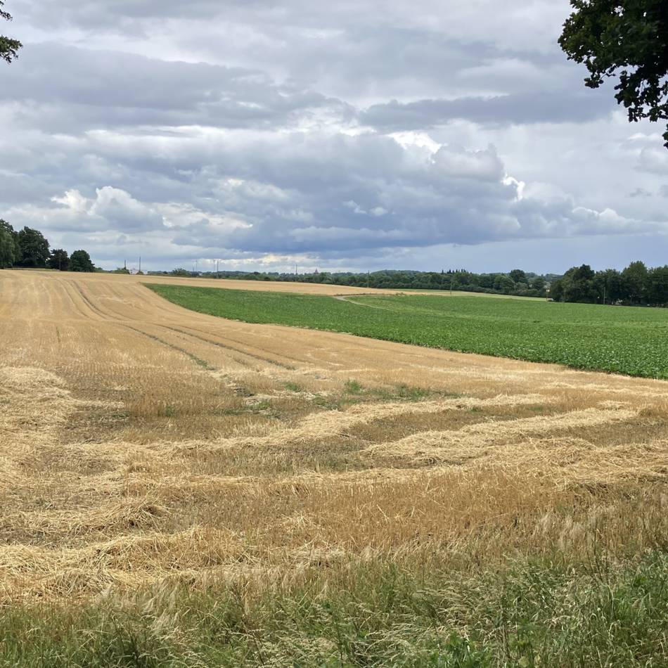 Radroute des Monats: Idyllische Tour durch den Kreis Viersen