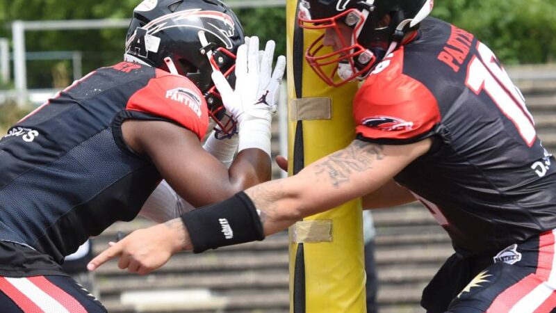 German Football -League: Panther wollen gegen Hildesheim nachlegen