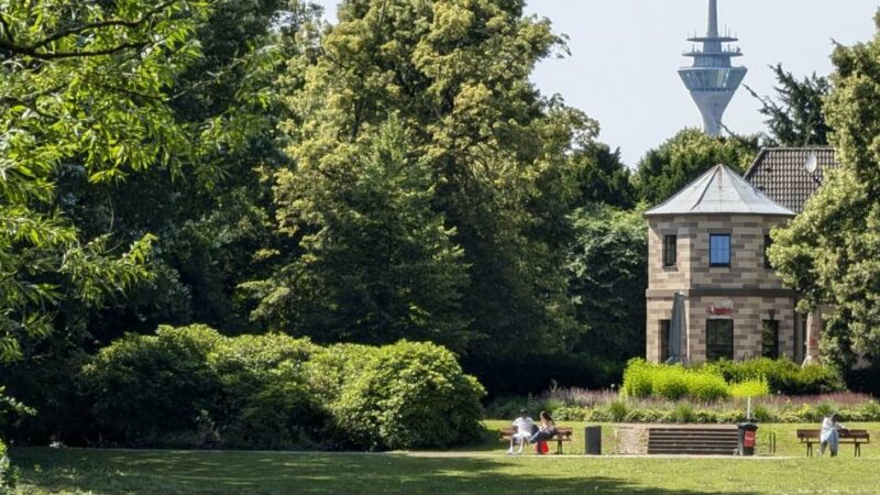 Serie „Unerwartet grüne Oase“: Düsseldorfer Parks zwischen Vergangenheit und Zukunft