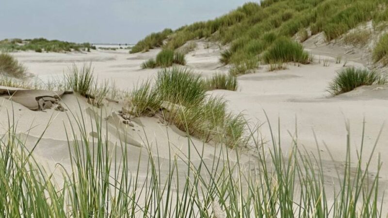 Ferieninsel in den Niederlanden: Urlaubsseelsorge für deutsche Touristen auf Texel