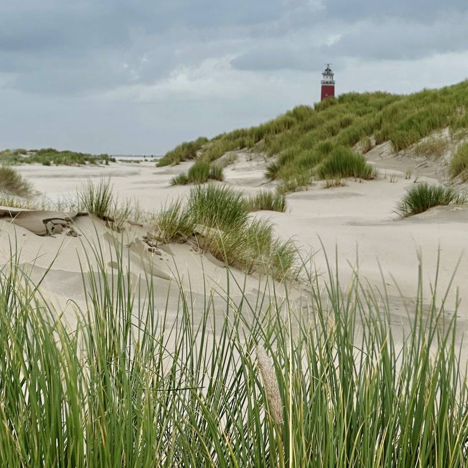 Ferieninsel in den Niederlanden: Urlaubsseelsorge für deutsche Touristen auf Texel
