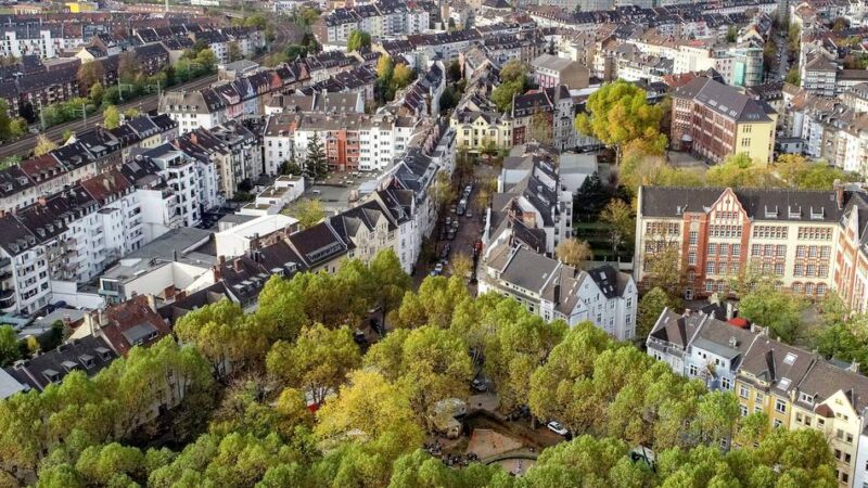 Neue Förderung möglich: Düsseldorf soll grüner werden – Aktion zur Entsiegelung startet