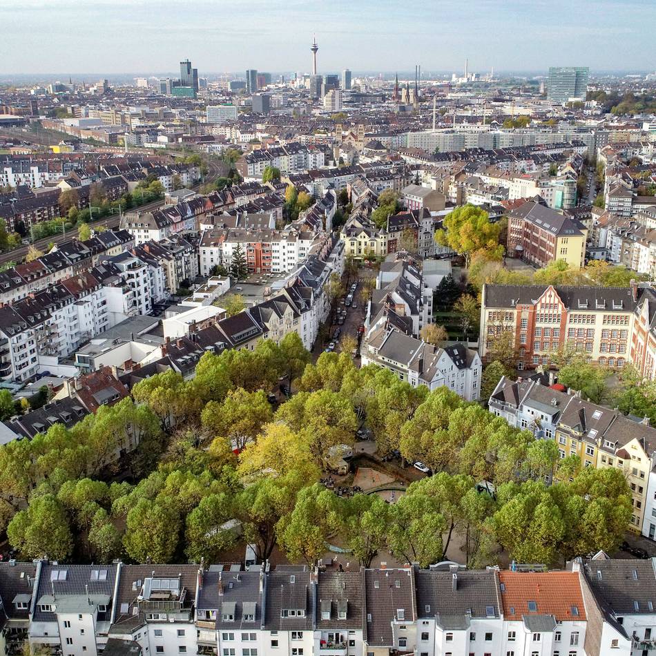 Neue Förderung möglich: Düsseldorf soll grüner werden – Aktion zur Entsiegelung startet