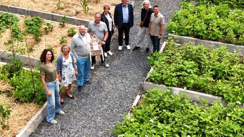 Beetprojekt für junge Gärtner in Leverkusen: Es wird schon geerntet im neuen Schulgarten