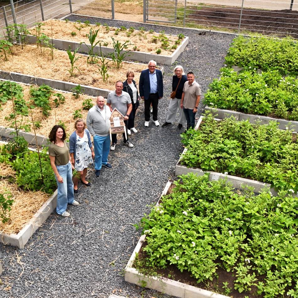 Beetprojekt für junge Gärtner in Leverkusen: Es wird schon geerntet im neuen Schulgarten