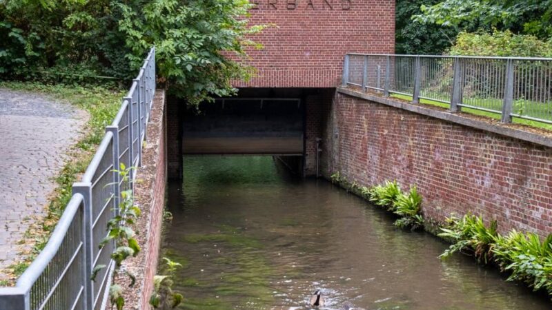 Sanierung des Hochwasserrückhaltebeckens in Odenkirchen: Neues Becken soll maximale Wassermenge aufnehmen können