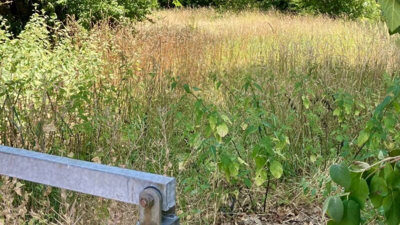 Martinsplatz in Anrath: Neue Nutzung für ehemalige Spielplatzfläche