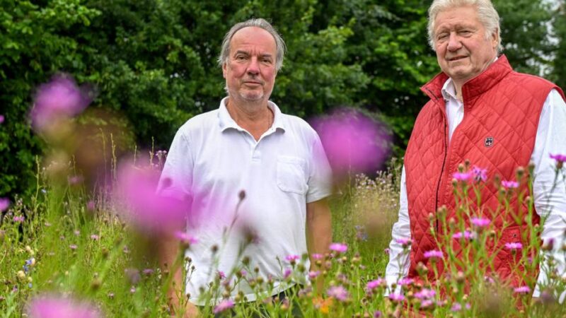 „Insel der Artenvielfalt“: Ein besonderes Stück Natur in Schiefbahn