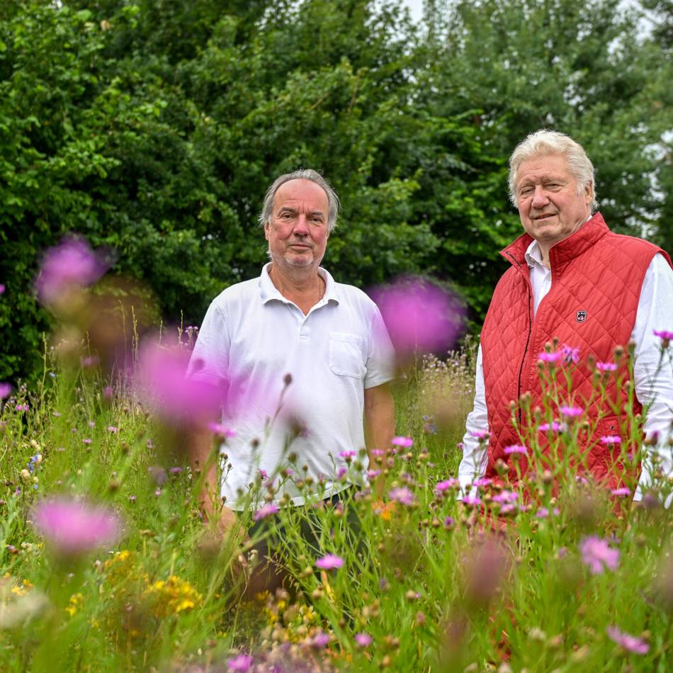 „Insel der Artenvielfalt“: Ein besonderes Stück Natur in Schiefbahn