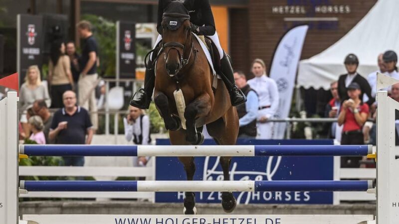 Reitsport auf Weltklasseniveau: So läuft das internationale Springturnier der Superlative in Pfalzdorf