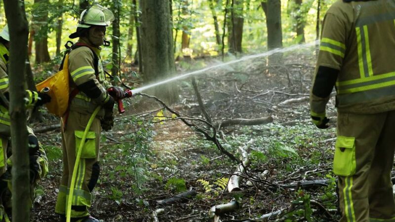 Feuerwehr in Düsseldorf: So arbeitet die Spezialeinheit zur Bekämpfung von Waldbränden