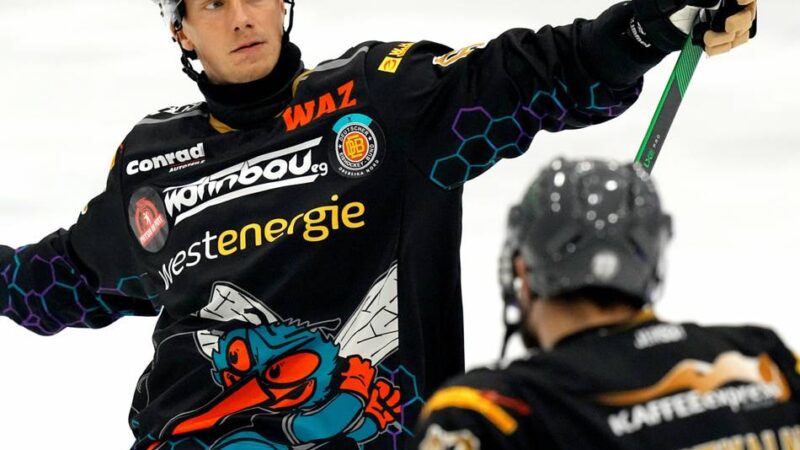 Wie geht es für die Talente weiter?: So reagieren die Krefeld Pinguine auf den Lizenz-Entzug des Kooperationspartners