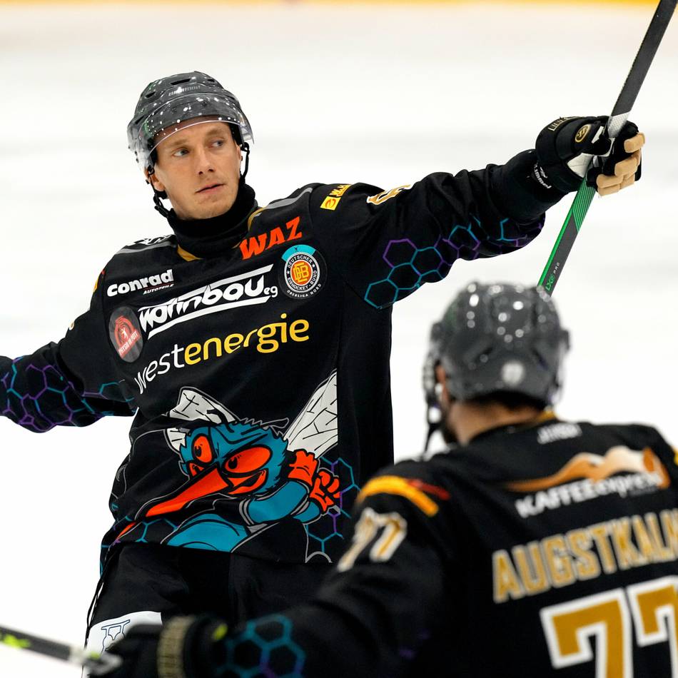 Wie geht es für die Talente weiter?: So reagieren die Krefeld Pinguine auf den Lizenz-Entzug des Kooperationspartners