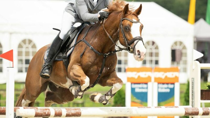 „Missverständnisse und Unsicherheiten“: Warum das Lobbericher Reitsportfestival kurzfristig abgesagt wird