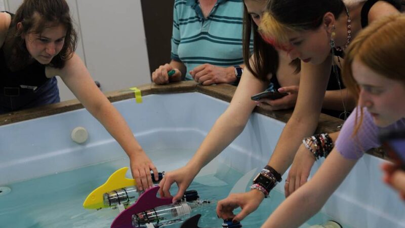 Spannende Ferientage: Klever Hochschule lädt Mädchen zum Forschen ein