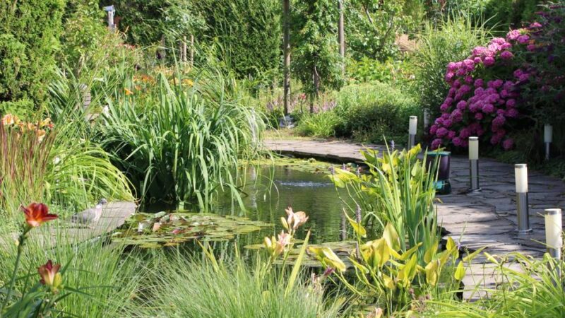 Neusserin gewinnt Wettbewerb „Neues Grün“: „Es ist mein Hobby und ich liebe Gartenarbeit“