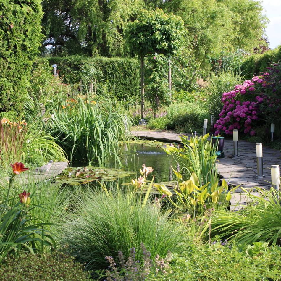 Neusserin gewinnt Wettbewerb „Neues Grün“: „Es ist mein Hobby und ich liebe Gartenarbeit“