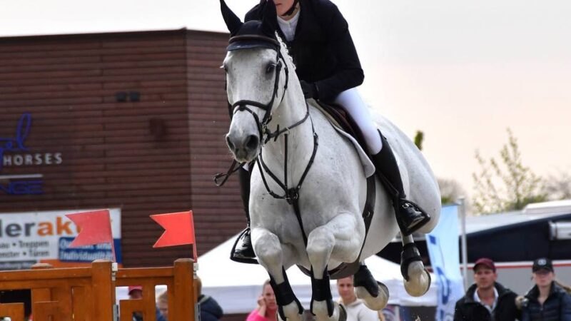 Rheinische Meisterschaften der Reiter: Der glänzende Medaillenspiegel des Kreises Kleve