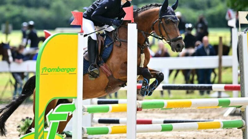 Sommerturnier am 5. und 6. Juli: Elegantes Kräftemessen beim RFV Eversael