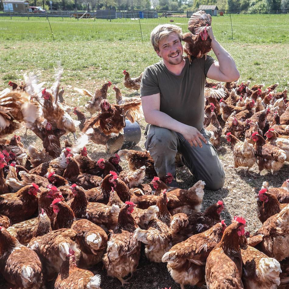 Landwirt in Meerbusch: Eierverkauf wird auf Karte umgestellt