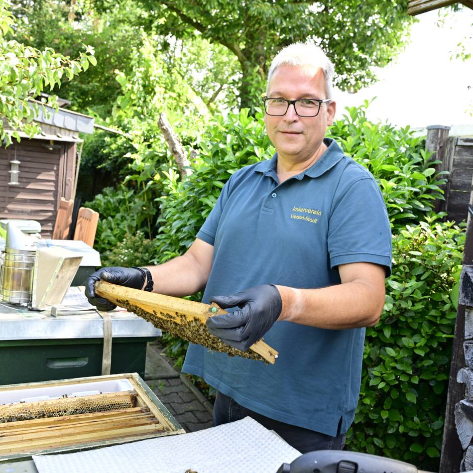Invasive Art in Mönchengladbach: Imker warnen vor Asiatischer Hornisse