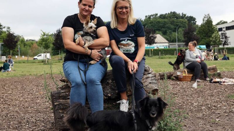 Tierschutz in Mönchengladbach: Bark Dates sollen Hunde an den Menschen bringen