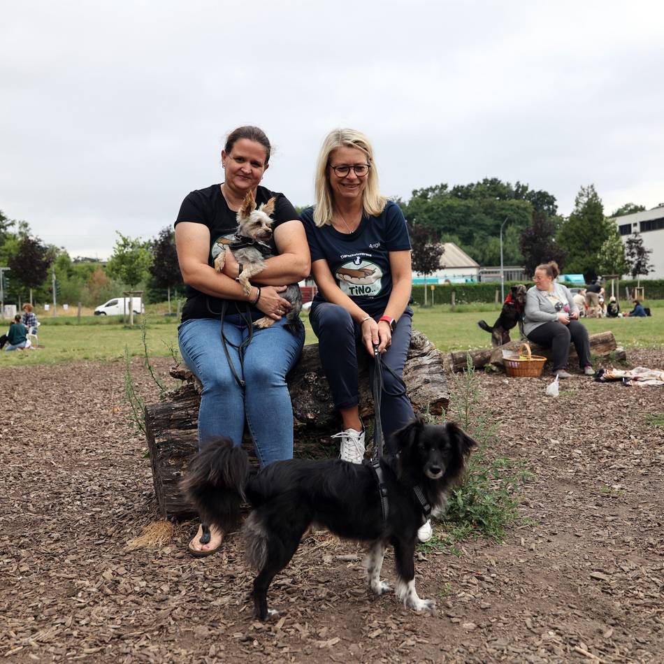 Tierschutz in Mönchengladbach: Bark Dates sollen Hunde an den Menschen bringen