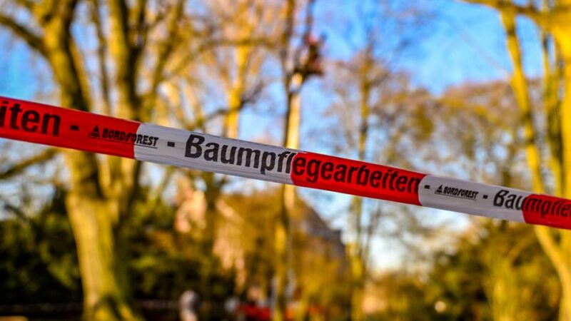Streitthema in Moers: Gutachten über Schlossparkbäume – „Es wird nichts zurückgehalten“