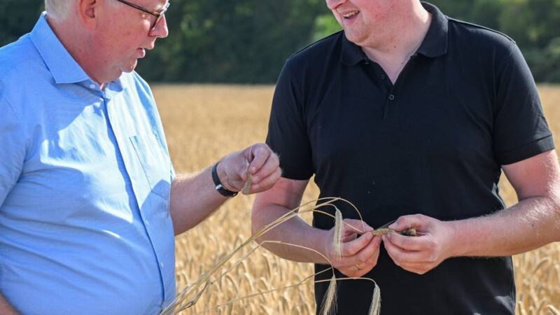 Kooperation in Moers: Was Sommerroggen mit der Trinkwasserqualität zu tun hat