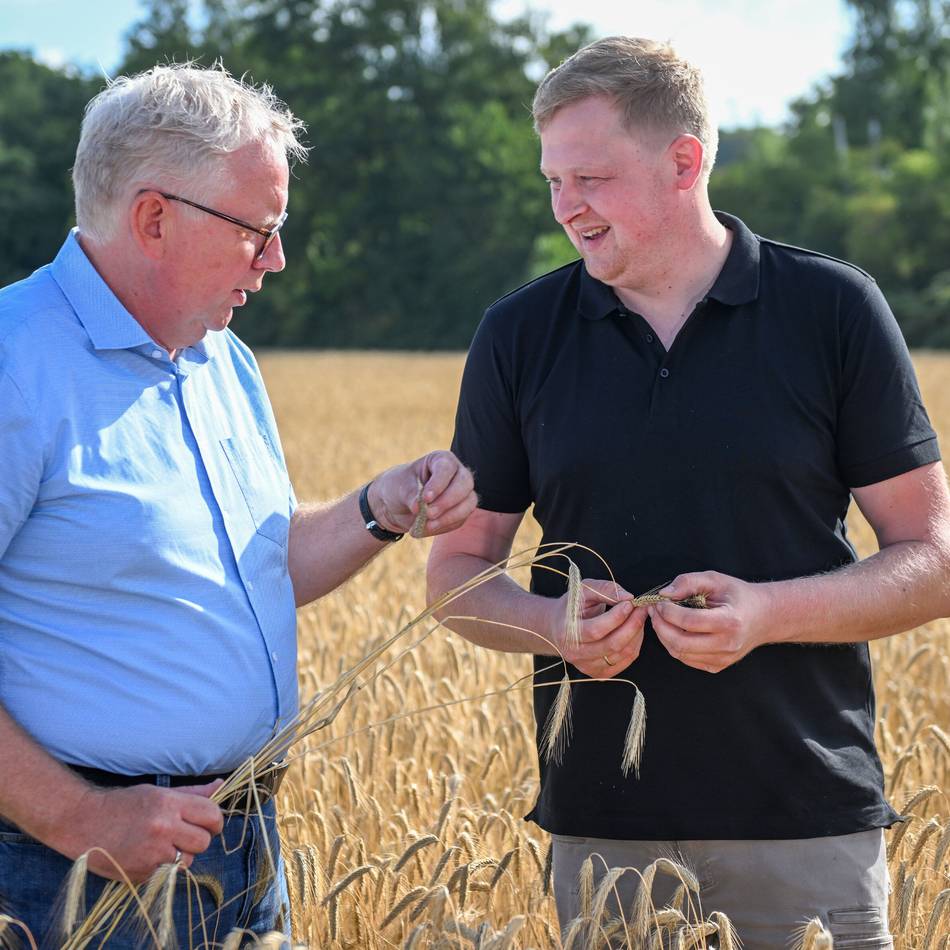 Kooperation in Moers: Was Sommerroggen mit der Trinkwasserqualität zu tun hat