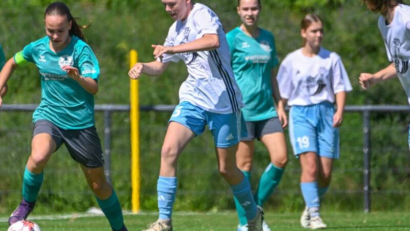 Aderlass im Jugendfußball: Nur zwei Teams aus dem Kreis Kleve/Geldern spielen künftig hochklassig