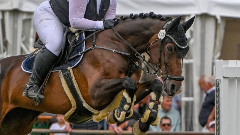 Reitsport für alle Generationen: Diese vier Gocher Mädchen holen den Aldekerker „Nationenpreis“