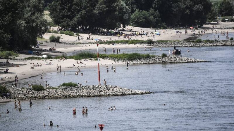 Leiche in Emmerich gefunden: Wieder ist ein Mensch im Rhein in Düsseldorf ertrunken