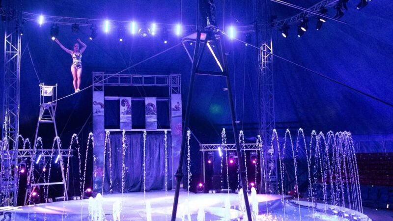 Wasserkzirkus auf dem Krefelder Sprödentalplatz: Mitreißende Show beim Waterland-Zirkus