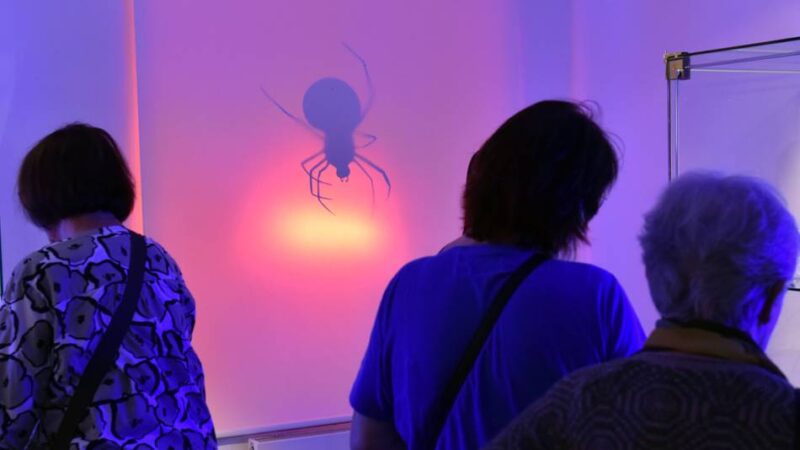 „250 Jahre Royal Kopenhagen“: Porzellan trifft Tierwelt – Ausstellung im Kreismuseum Zons