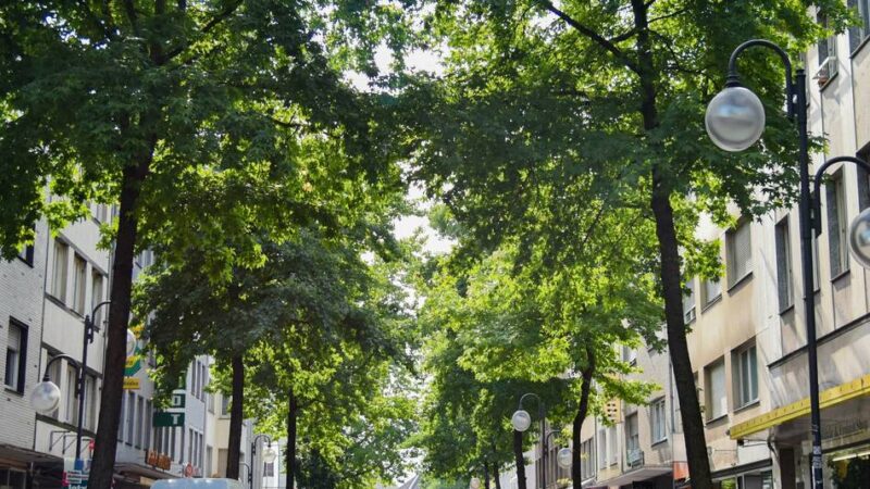 Wirtschaft in Mönchengladbach: Citymanagement Rheydt will mehr Vielfalt bei verkaufsoffenem Sonntag