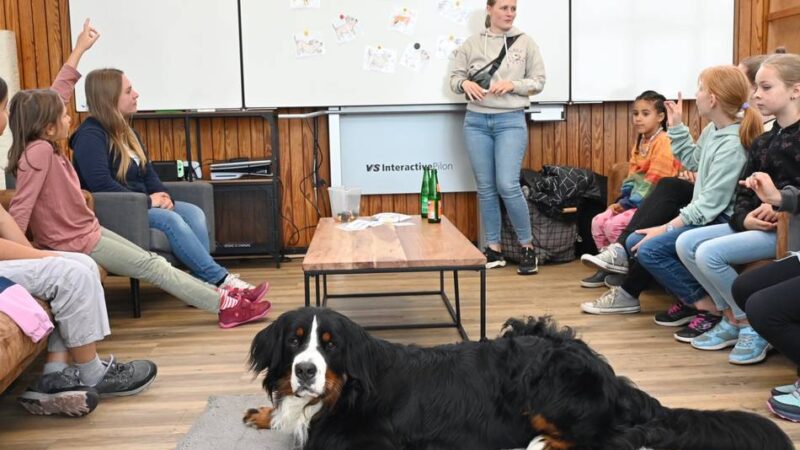 Ferienspaß in Radevormwald: Mit Balu lernen, wie man Hunde richtig behandelt
