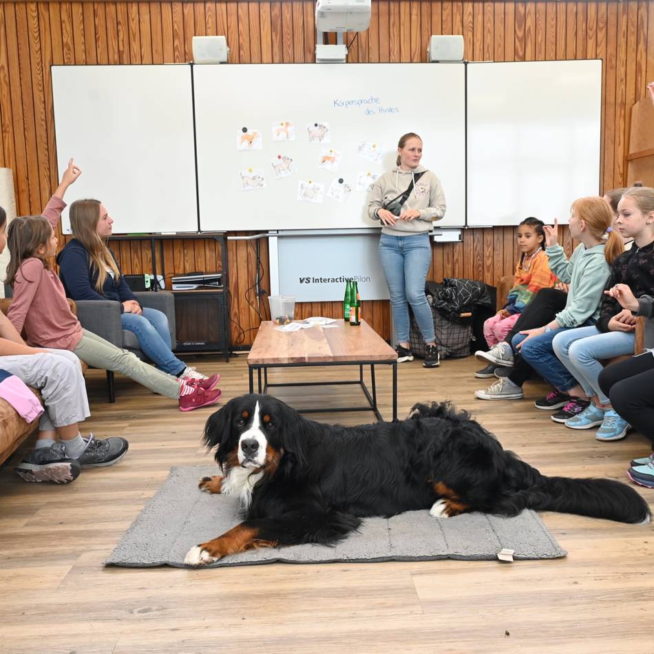 Ferienspaß in Radevormwald: Mit Balu lernen, wie man Hunde richtig behandelt