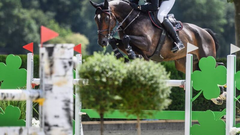 Reitsport der Extraklasse in Pfalzdorf: Diese großen Sprünge will Holger Hetzel noch mit seinem Turnier machen