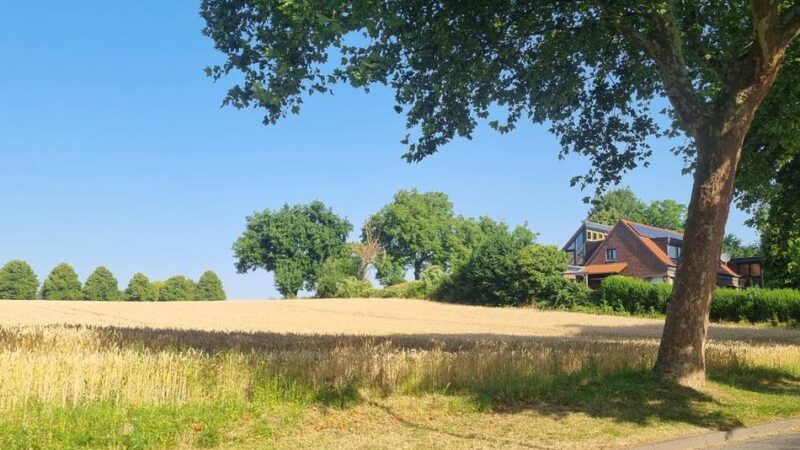 Planungen weit fortgeschritten: Dieser Supermarkt kommt nach Lövenich