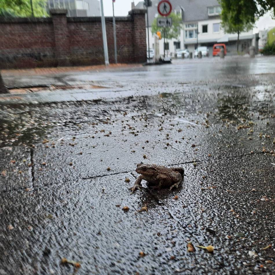 Wetterumschwung in Kleve: Heftiger Regen nach der Hitzewelle – bis zum Abend aber ohne Extrem-Unwetter