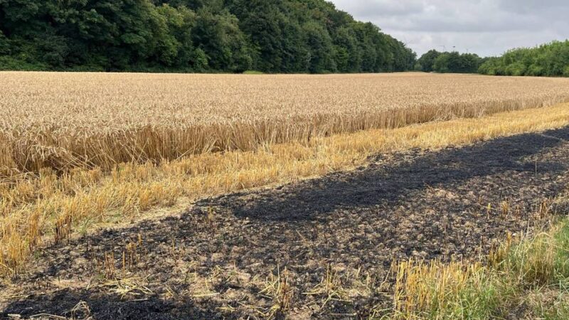 Vorfall in Grevenbroich: Feld gerät in Brand – Polizei sucht Zeugen