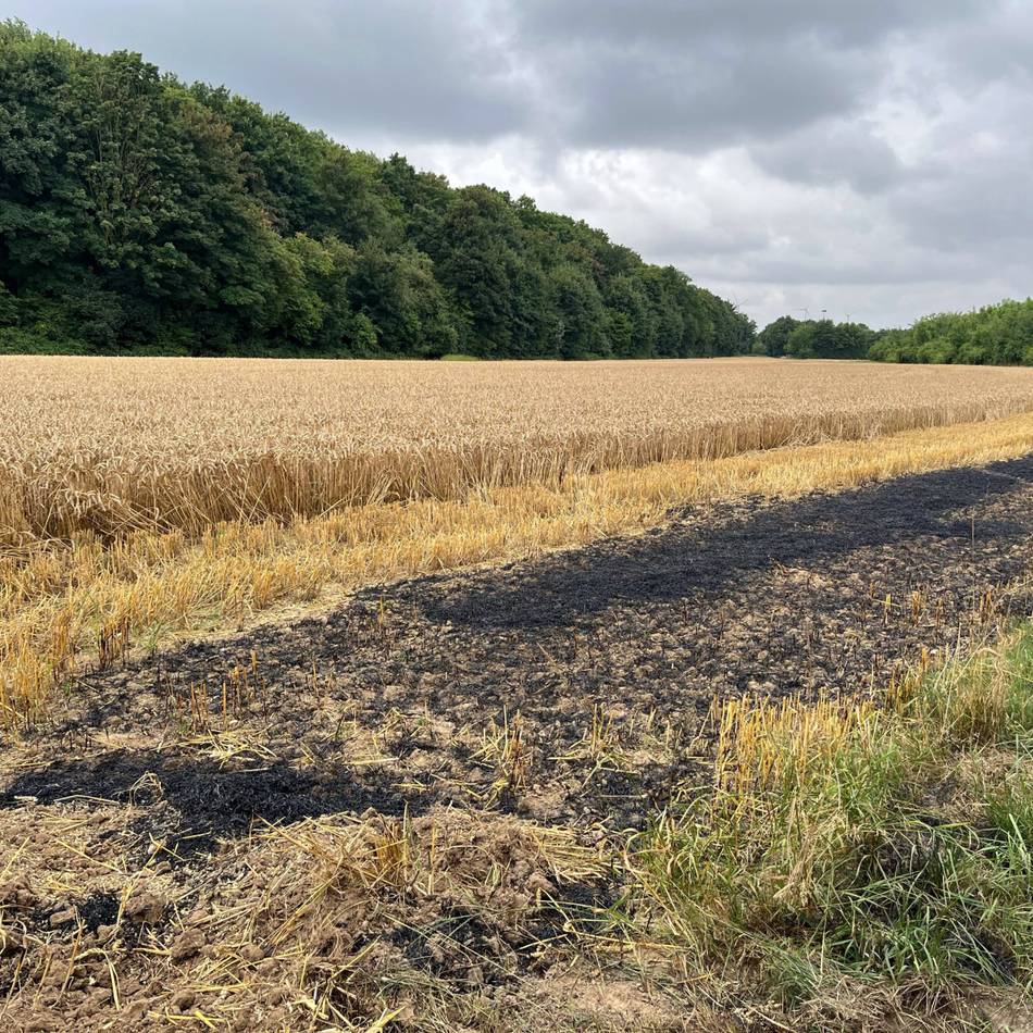 Vorfall in Grevenbroich: Feld gerät in Brand – Polizei sucht Zeugen