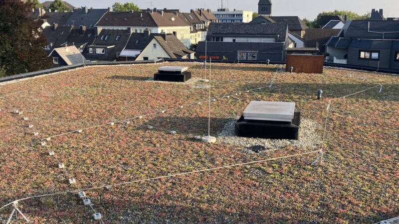 Klimaschutz bei der Stadt Radevormwald: Fördertopf für Dachbegrünung zur Hälfte ausgeschöpft