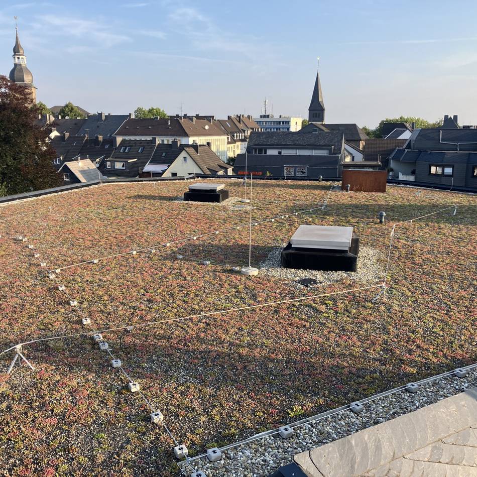 Klimaschutz bei der Stadt Radevormwald: Fördertopf für Dachbegrünung zur Hälfte ausgeschöpft
