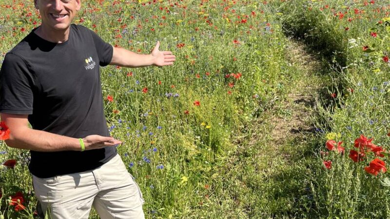 Patenschaftsprojekt in Uedem: Jochen Kanders hat in seiner Bienenweide einen Spazierweg angelegt